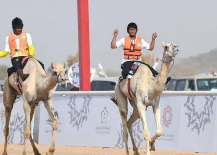 Value of Crown Prince Camel Festival’s prizes worth $14 million