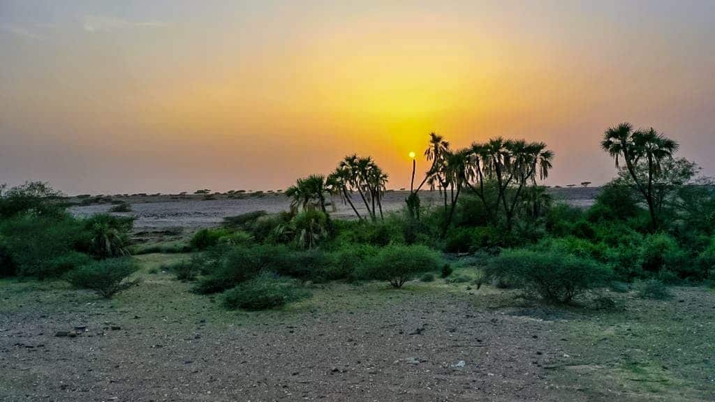Greenery discolors the Sandals Mountain in Jizan after rain
