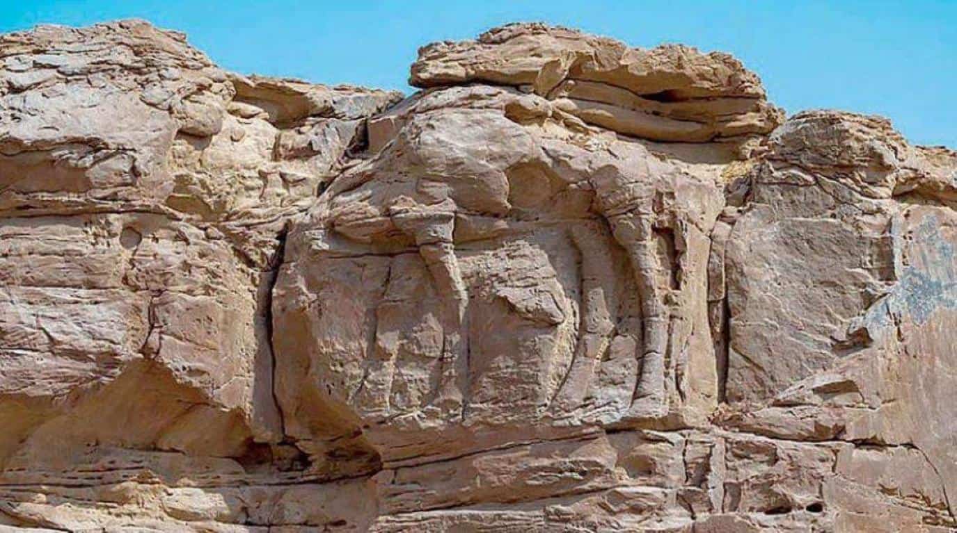 KSA discovers the oldest animal carving site in the world
