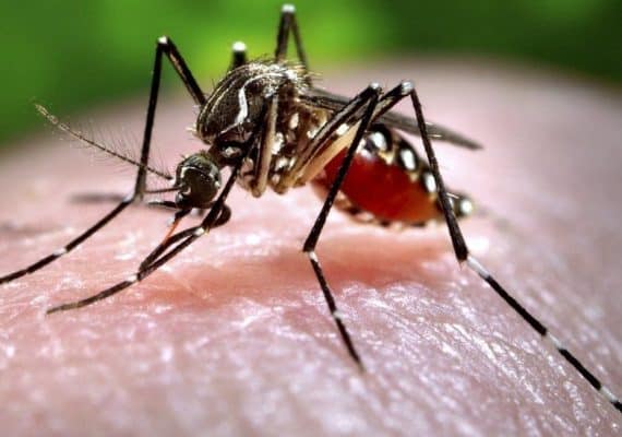 India reports new case of Zika virus