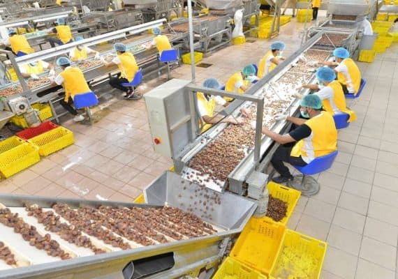 Saudi Arabia licensees 68 new factories with investments of SAR 735 million during November