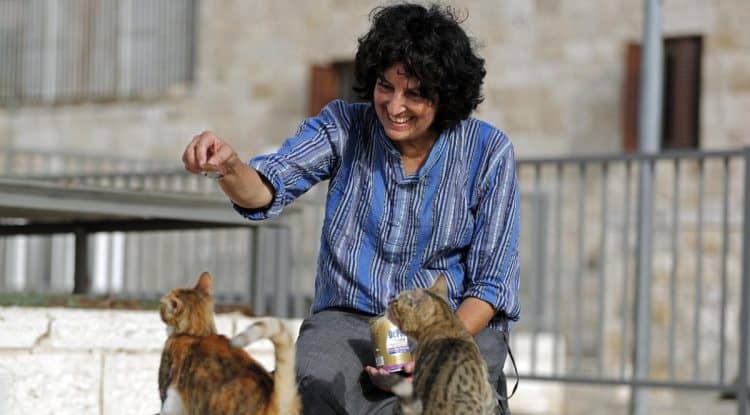 Animal Care Association collects Pets from Saudi streets