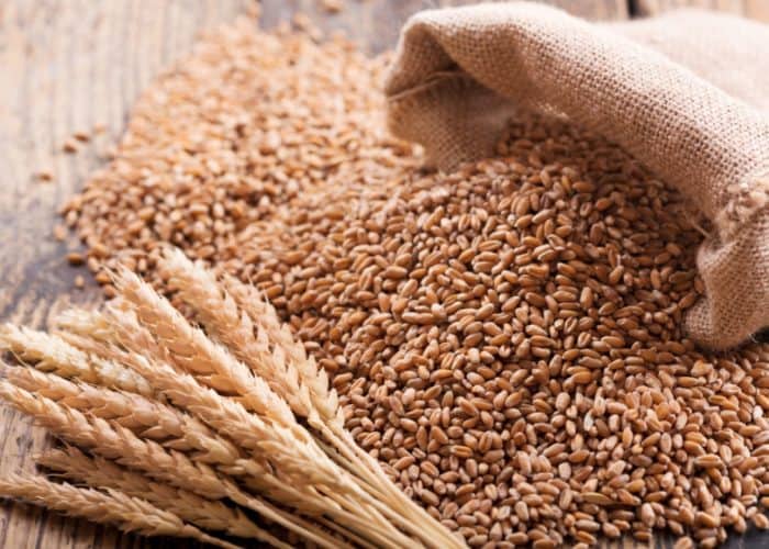Saudi Grain Organization Corporation issues tender to buy 480,000 tons of wheat