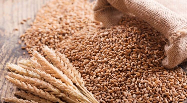 Saudi Grain Organization Corporation issues tender to buy 480,000 tons of wheat