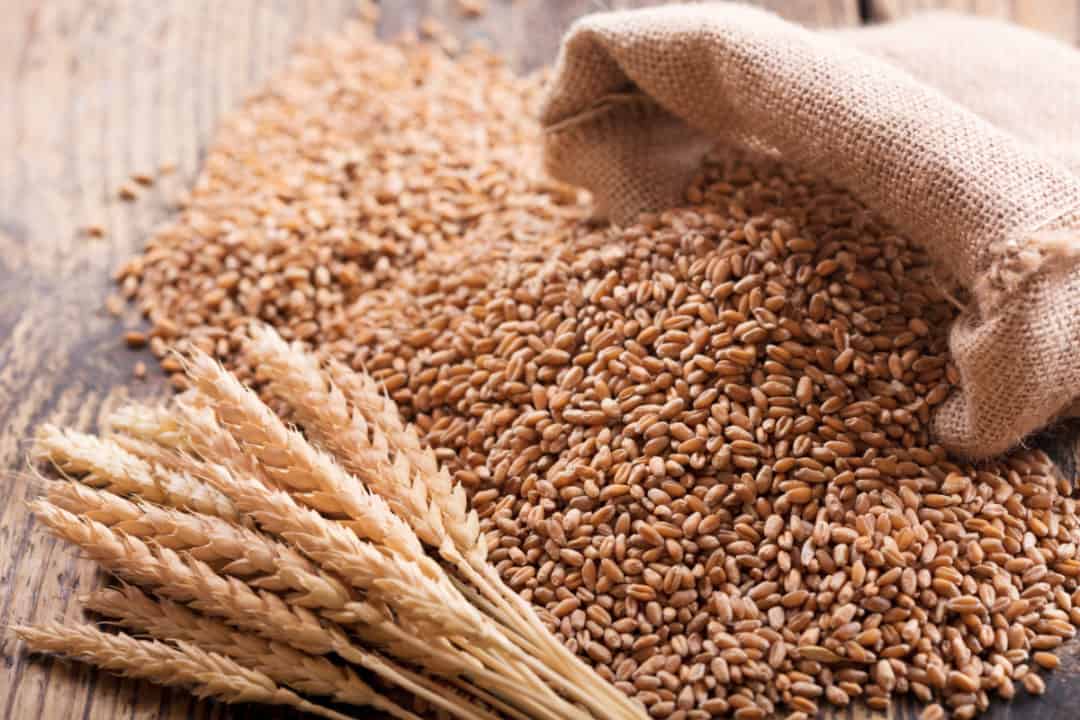 Saudi Grain Organization Corporation issues tender to buy 480,000 tons of wheat