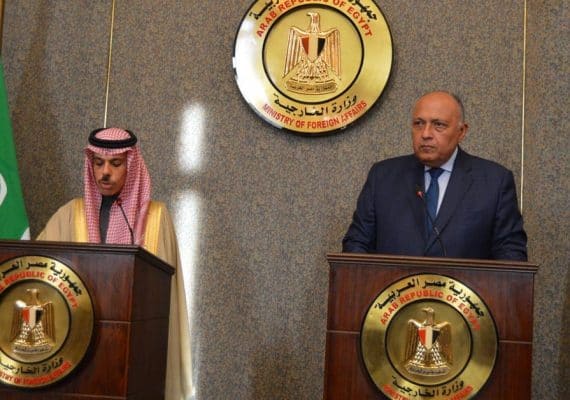 Saudi, Egyptian FMs stress importance of regional stability