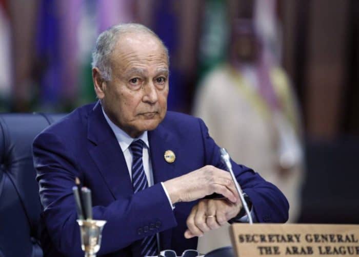 Arab League chief calls for the immediate release of seized UAE ship