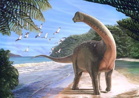 Egypt reveals traces of 70 million-year-old dinosaurs