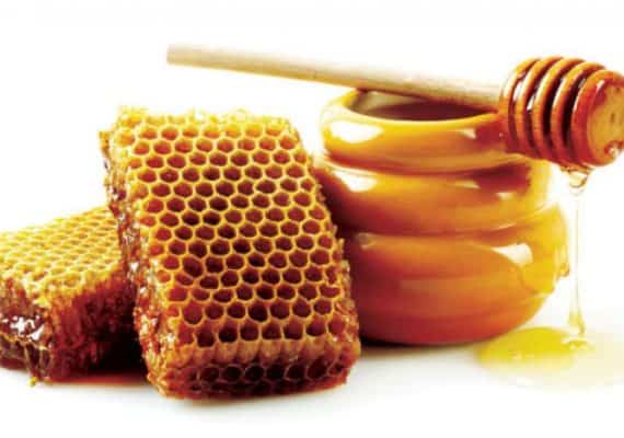 Egypt exports 10,456 honey bee packages to Saudi Arabia