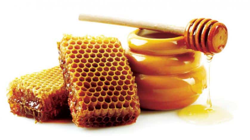 Egypt exports 10,456 honey bee packages to Saudi Arabia