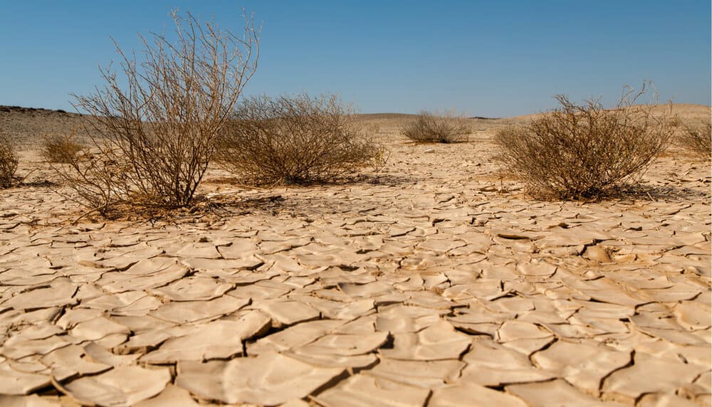 Saudi Arabia to combat desertification with the latest technologies
