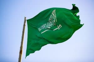 Saudi Arabia calls on the Human Rights Council to provide reliable sources