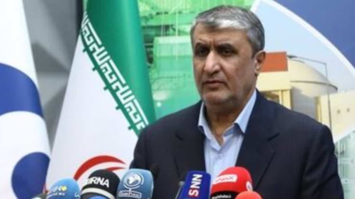 Iran nuclear chief: We have technical means to produce atom bomb