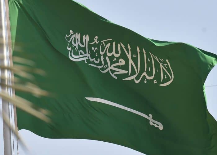 Saudi, Pakistani officials discuss supporting the growth of the digital economy