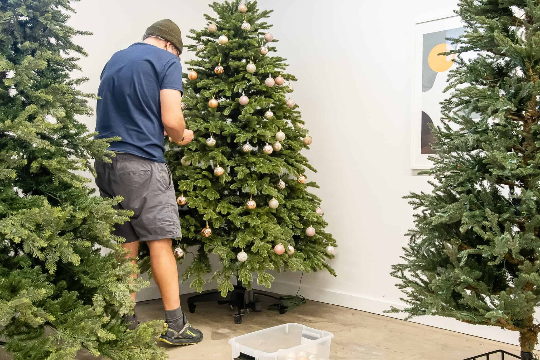 Saudi Arabia bans Christmas tree imports
