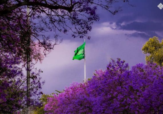 Saudi Vegetation Center invites society to plant 10 billion trees