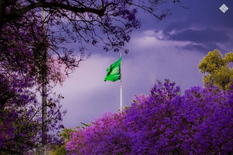 Saudi Vegetation Center invites society to plant 10 billion trees | Leaders