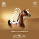The Arabian Horse Organization launches the Riyadh Festival "Jawadi" from November 29 to December 3