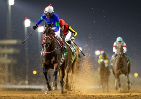 Horse Racing Flourishes with Upgrades in Riyadh Season 2023-2024, Saudi Cup 2024