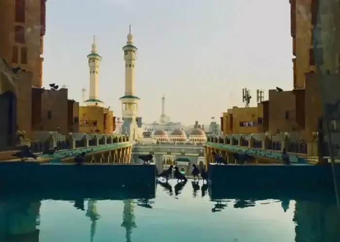 Saudi Arabia Establishes Imam Faisal Bin Turki Royal Reserve