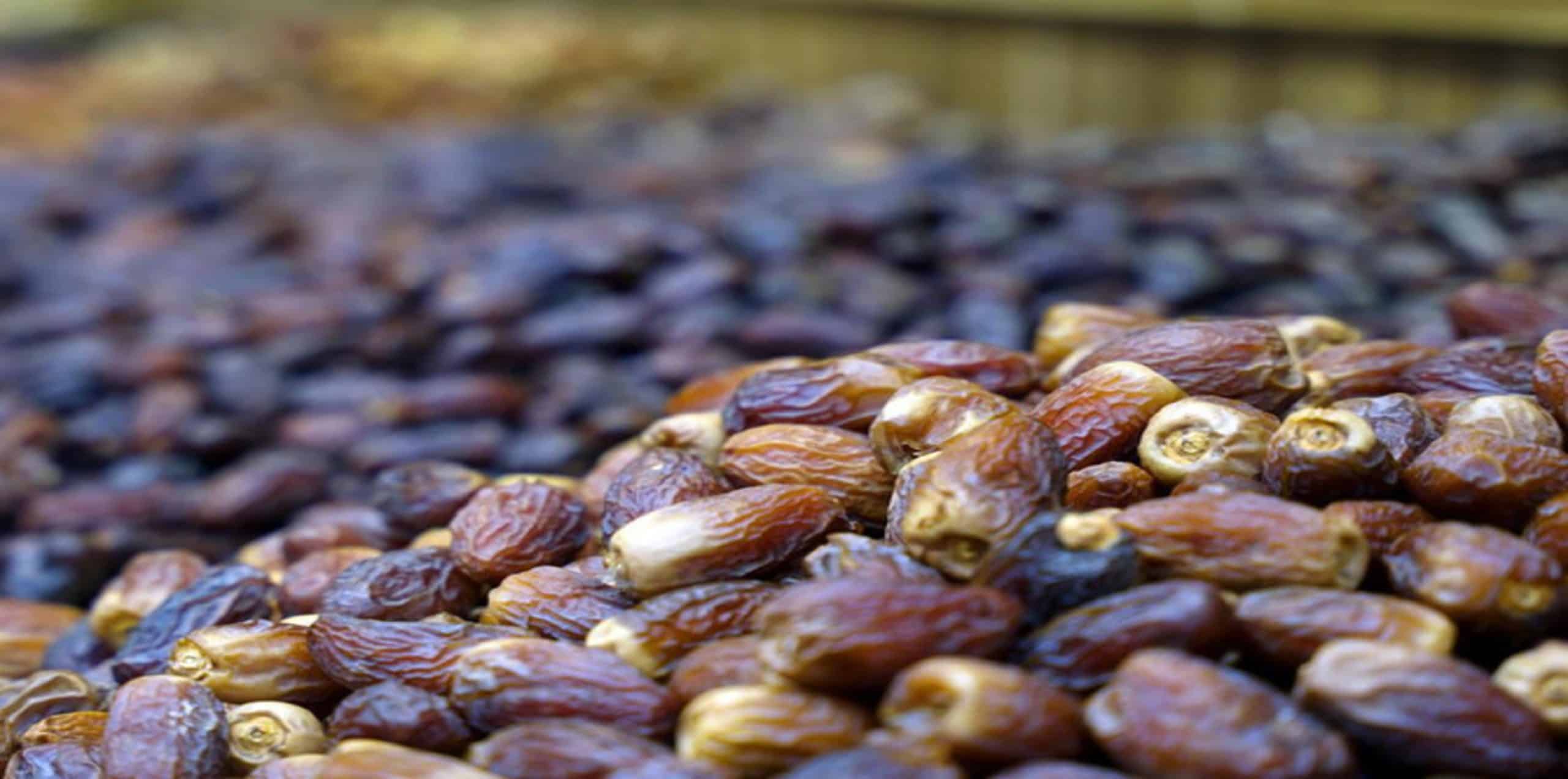 Madinah Date Season Boosts Saudi's Sweet Industry