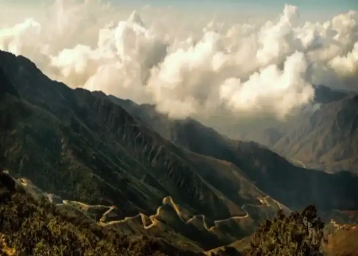 Diverse Vegetation of Asir: A Unique Ecological Landscape