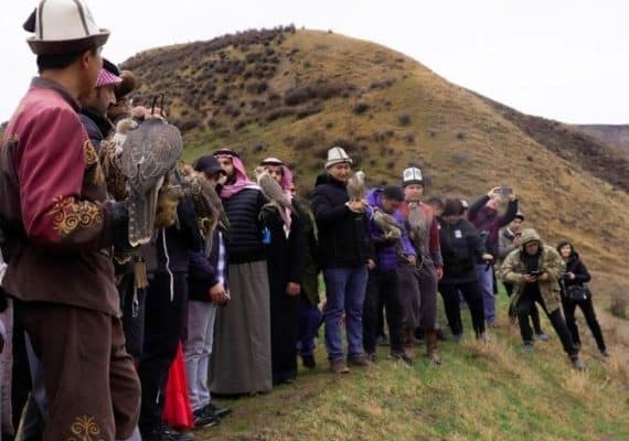 Saudi Falcons Club Releases Falcons into Wilds of Kyrgyz Mountains