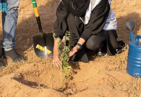 Saudi National Afforestation Program Helps Kingdom Achieve Green Goals