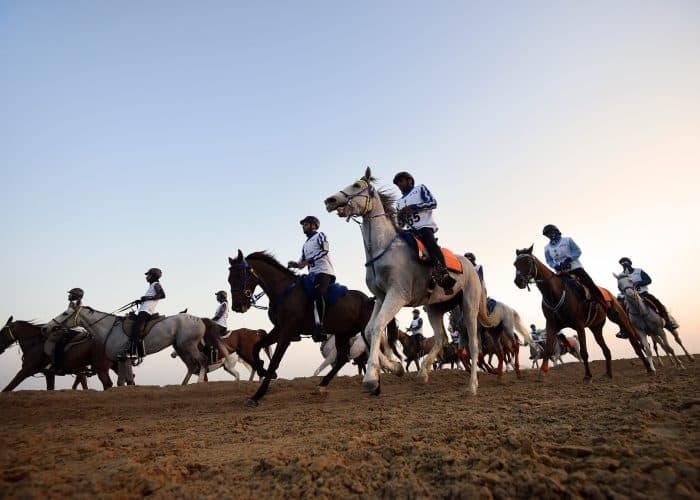 AlUla Announced as Host of FEI Endurance World Championship Set in 2026.