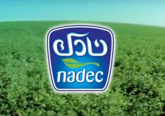 Nadec Agrees to Increase Capital