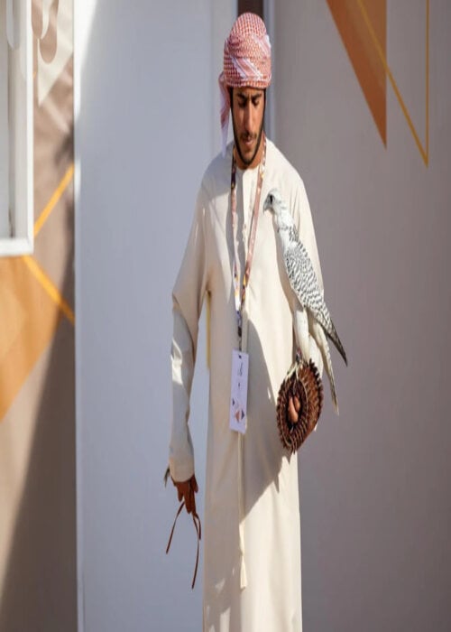 King Abdulaziz Falconry Festival, a Cherished Event