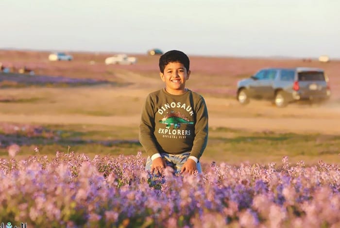 Al-Qa'iyah Village: Blossoming Tourist & Economic Hub in Najd