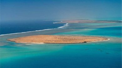 KAUST Scientists Discover Hydrothermal Vent Fields in Red Sea