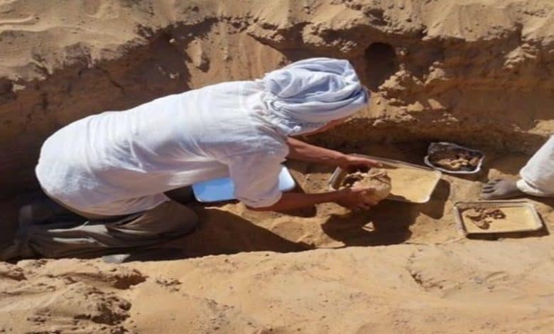 Ancient Egypt First Time Discovery: Evidence of Arthritis Identified
