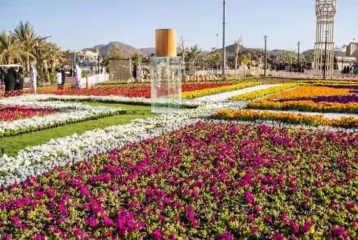 American Magazine Highlights Saudi Arabia's Rose Capital