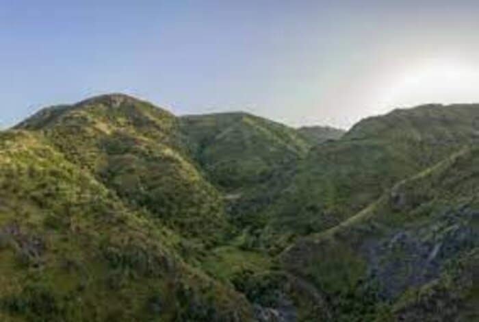 Vegetation Increases by 600% in Makkah
