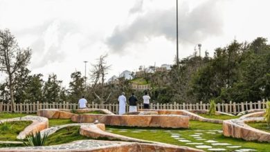 Al Baha's Parks Warmly Welcome Visitors During School Vacation