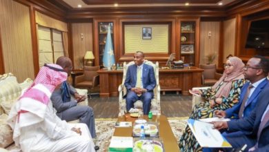 Somali PM Meets Saudi Ambassador to Somalia