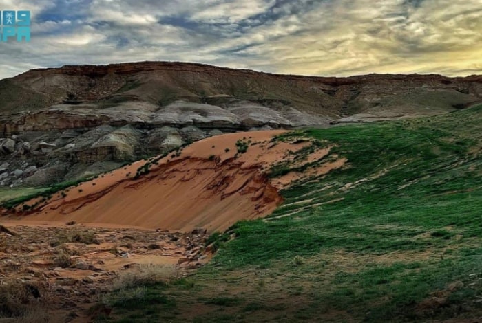 Al Khunfah: Bird's Meeting Point
