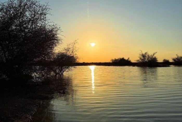 Glimpse of Beauty in Turki bin Abdullah Royal Natural Reserve
