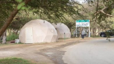 KSA Launches Platform for Camping Permits in Saudi Arabia