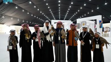 Falcon Festival in Northern Border Allocates Activities for Children