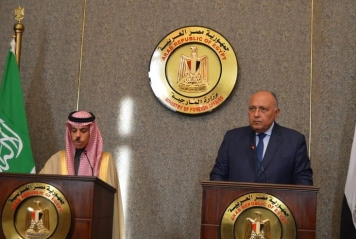 Saudi-Egyptian FMs Discuss Gaza Crisis in Joint Conference
