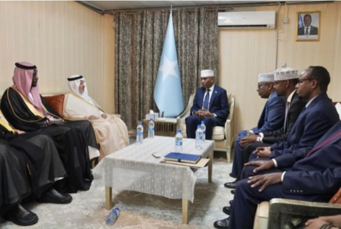 Somali Prime Minister Meets with KSrelief Supervisor General