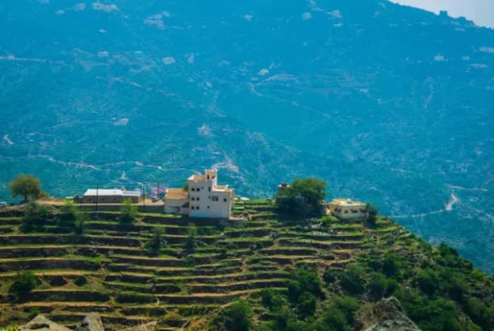 International Drought Resistance Coalition