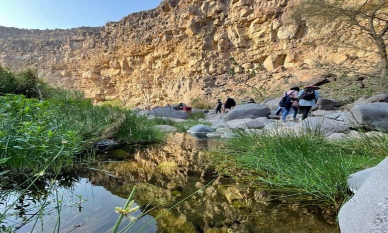 Jeddah Go Outdoors Offers Unique Hiking Trips