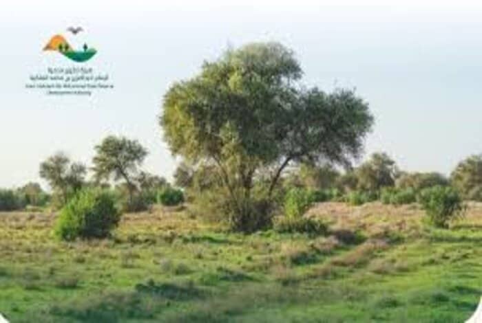 Imam Abdul Aziz Reserve Plants Million Trees, Shrub