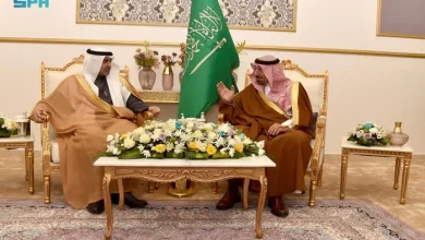 Prince of Najran Meets Health Minister