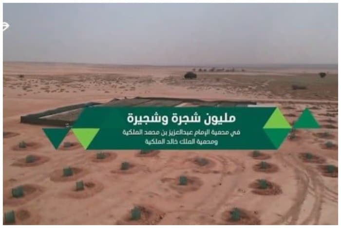 IABM Reserves Plants more than Million Trees