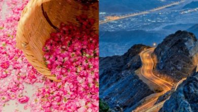 Taif: City of Roses & Mountain Oasis
